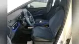 BYD Dolphin Mini - Miniatura 7
