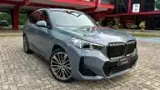 BMW IX1 - Miniatura 1