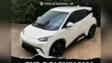 BYD Dolphin Mini - Miniatura 1