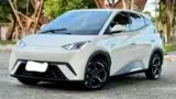 BYD Dolphin Mini - Miniatura 2