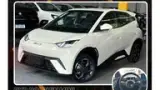 BYD Dolphin Mini - Miniatura 1