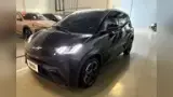 BYD Dolphin Mini - Miniatura 3