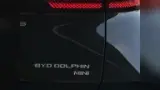 BYD Dolphin Mini - Miniatura 9