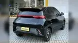 BYD Dolphin Mini - Miniatura 10
