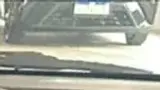 BYD Dolphin Mini - Miniatura 7
