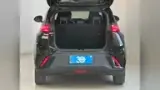BYD Dolphin Mini - Miniatura 19