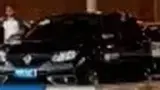 BYD Dolphin Mini - Miniatura 20