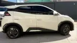 BYD Dolphin Mini - Miniatura 3