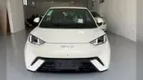 BYD Dolphin Mini - Miniatura 3