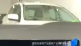 BYD Dolphin Mini - Miniatura 14