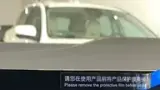 BYD Dolphin Mini - Miniatura 15
