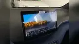 BYD Dolphin Mini - Miniatura 16