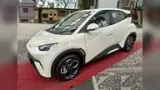 BYD Dolphin Mini - Miniatura 2