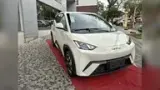 BYD Dolphin Mini - Miniatura 3