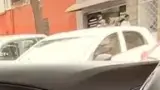 BYD Dolphin Mini - Miniatura 6