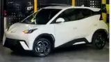 BYD Dolphin Mini - Miniatura 1