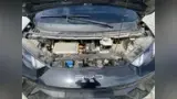 BYD Dolphin Mini - Miniatura 10