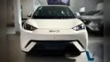 BYD Dolphin Mini - Miniatura 2
