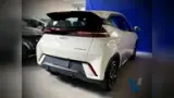 BYD Dolphin Mini - Miniatura 4