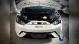 BYD Dolphin Mini - Miniatura 13