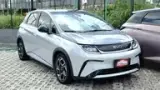 BYD Dolphin Plus - Miniatura 1