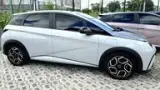 BYD Dolphin Plus - Miniatura 2