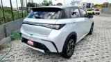 BYD Dolphin Plus - Miniatura 7