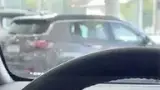 BYD Dolphin - Miniatura 11