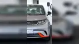 BYD Dolphin - Miniatura 12