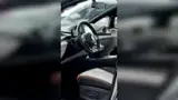 BYD Dolphin - Miniatura 17