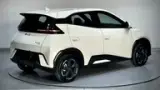 BYD Dolphin Mini - Miniatura 12