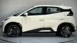 BYD Dolphin Mini - Miniatura 15