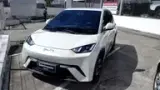 BYD Dolphin Mini - Miniatura 1