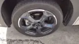 BYD Dolphin Mini - Miniatura 2
