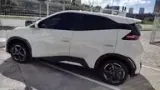 BYD Dolphin Mini - Miniatura 3