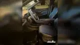 BYD Dolphin Mini - Miniatura 10