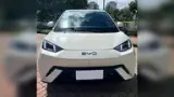 BYD Dolphin Mini - Miniatura 1