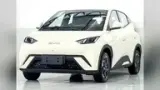 BYD Dolphin - Miniatura 1