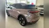 Neta X - Miniatura 3