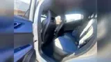 BYD Dolphin Mini - Miniatura 12