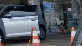 BYD Dolphin Mini - Miniatura 2
