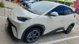 BYD Dolphin Mini - Miniatura 4
