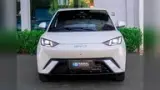 BYD Dolphin Mini - Miniatura 3