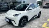 BYD Dolphin Mini - Miniatura 2
