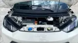 BYD Dolphin Mini - Miniatura 9