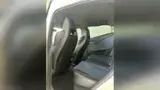 BYD Dolphin Mini - Miniatura 8