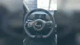 BYD Dolphin Mini - Miniatura 10