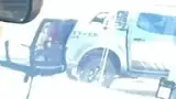 BYD Dolphin Mini - Miniatura 15