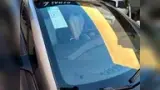 BYD Dolphin - Miniatura 20