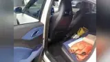 BYD Dolphin Mini - Miniatura 10
